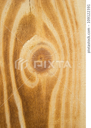 Texture wood background plank timber slice, closeup Texture wood background plank timber slice, closeup 109122391