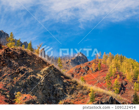 Amazing color spotted contrast mountain landscape. Siberian high 109122454