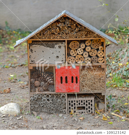 Bees Bugs Hotel Bees Bugs Hotel 109123142