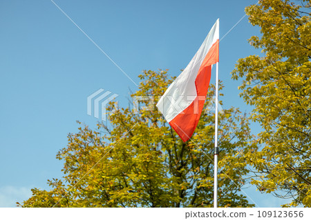 Poland flag waving in the wind on nature background, summer day 109123656