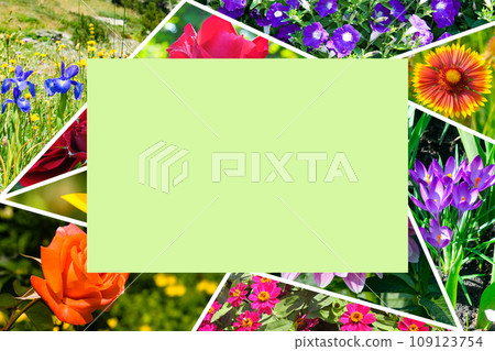 collage of colorful garden flowers. Free space for text. 109123754