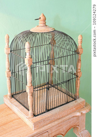 Birdcage 109124279