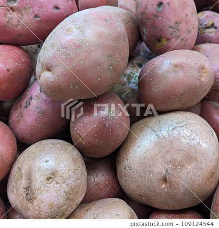 Background of red or pink potatoes top view. Background of red or pink potatoes top view. 109124544