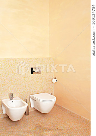 Beige toilet 109124784