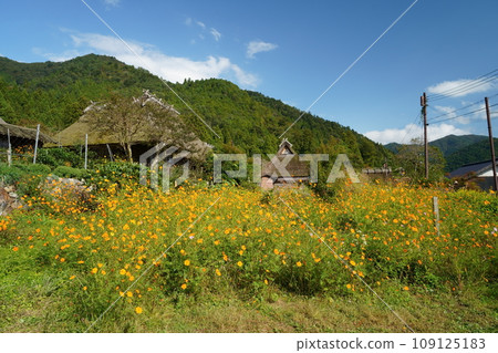 茅吹之裡(京都府南丹市美山町北村、京都丹波高原國定公園) 茅吹之裡(京都府南丹市美山町北村、京都丹波高原國定公園) 109125183