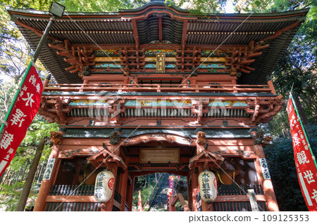 Mizusawa Kannon Niomon 109125353