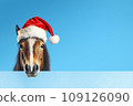 A funny horse in a red Santa Claus hat on a blue background. Banner with horse and free space. Christmas or new year concept 109126090