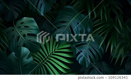 Close-up tropical plants in the jungle 109126341