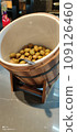 Olives in beautiful dishes in the assortment of a restaurant in one of the hotels in Turkey 109126460