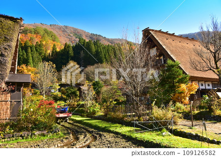 白川鄉世界遺產合掌造紅葉風景 白川鄉世界遺產合掌造紅葉風景 109126582