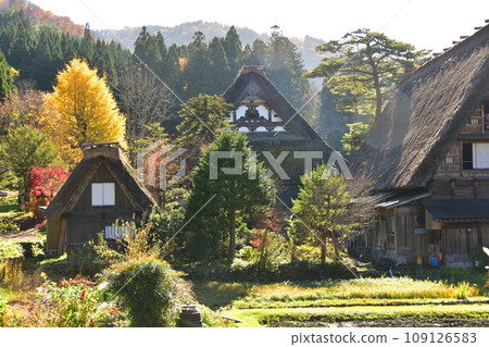 白川鄉世界遺產合掌造紅葉風景 白川鄉世界遺產合掌造紅葉風景 109126583
