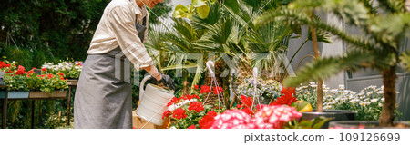 Professional woman gardener wearing apron taking care of plant watering it in floral shop 109126699