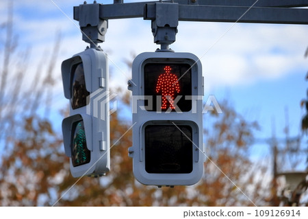 pedestrian traffic light pedestrian traffic light 109126914
