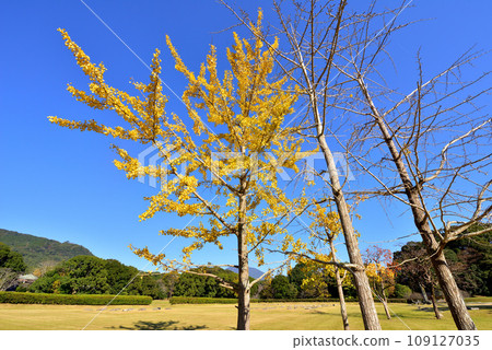 Dazaifu Government Office Ruins, Capital Tower Ruins, New Era Reiwa Birthplace Dazaifu City, Fukuoka Prefecture Dazaifu Government Office Ruins, Capital Tower Ruins, New Era Reiwa Birthplace Dazaifu City, Fukuoka Prefecture 109127035