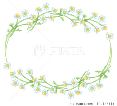 Illustration frame of herbs and plants used for aroma. watercolor style vector material Illustration frame of herbs and plants used for aroma. watercolor style vector material 109127313