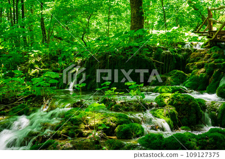 Scenic View of Beautiful Waterfalls in Krka National Park, Croatia's Natural Wonder 109127375