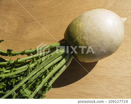 Fresh Shogoin radish Fresh Shogoin radish 109127729