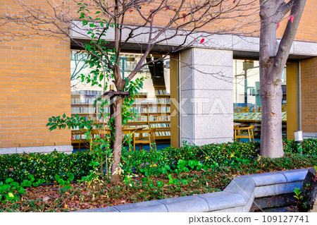 Autumn library with bookshelves visible through the window 109127741