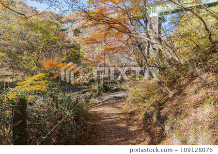 Yamanashi Prefecture/“Toryu Falls Hiking Course” passing under the bridge of the Koumi Line, Hokuto City 109128076