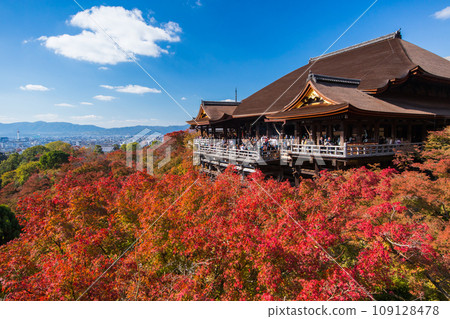 秋葉的清水寺（京都府～京都市） 109128478