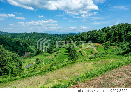 新潟縣十日町市蒲生梯田 109128521