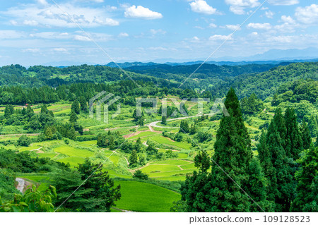 星峠梯田～夏天～新潟縣十日町市 109128523