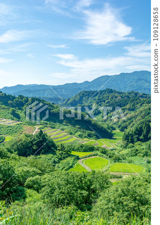 Shimizu Rice Terraces (Niigata Prefecture) Shimizu Rice Terraces (Niigata Prefecture) 109128658