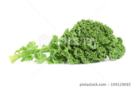 Fresh green kale leaf isolated on white 109129085