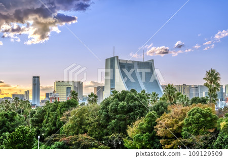 Tokyo cityscape Tokyo International Cruise Terminal Station 109129509