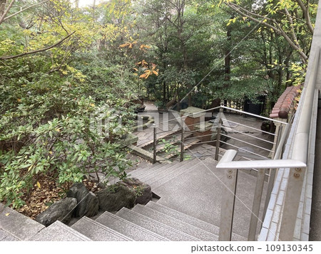 2023年茅崎市美術館秋季花園 2023年茅崎市美術館秋季花園 109130345