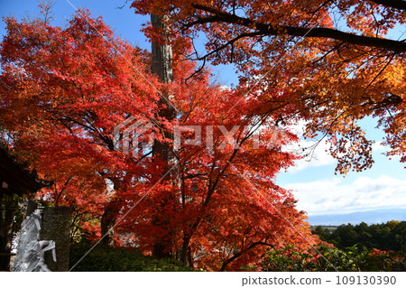 京都西山吉峰寺的秋葉 109130390