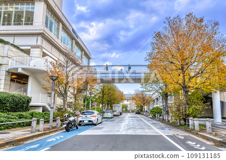 Tokyo cityscape Daiba Station 109131185
