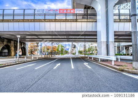 Tokyo cityscape Daiba Station Tokyo cityscape Daiba Station 109131186