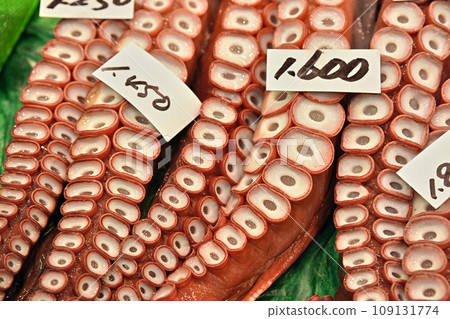 北海道魚市排隊的章魚 109131774