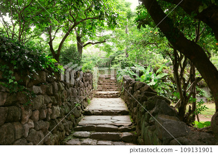 Stone stairs alley with green forest at Seogwipo Lee Jung Seop Street in Jeju island, Korea 109131901