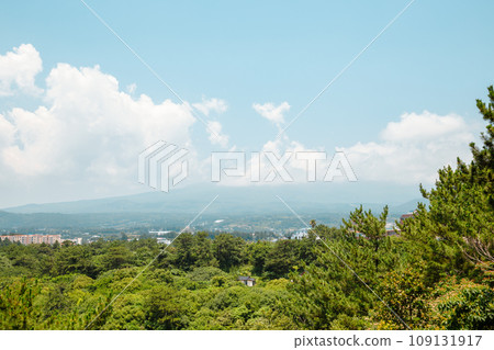 Panorama view of Hallasan mountain and green forest from Seogwipo Chilsimni Park in Jeju Island, Korea Panorama view of Hallasan mountain and green forest from Seogwipo Chilsimni Park in Jeju Island, Korea 109131917