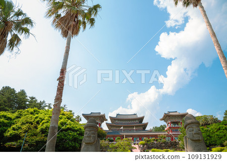 Yakcheonsa Temple with palm tree in Jeju Island, Korea Yakcheonsa Temple with palm tree in Jeju Island, Korea 109131929