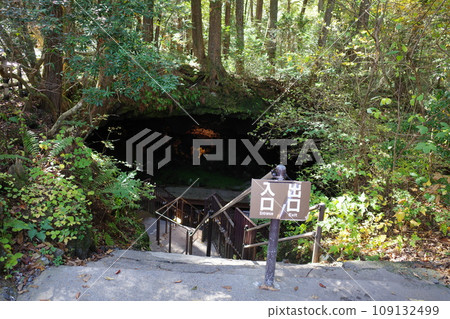 The area near the entrance to Narusawa Ice Cave 109132499