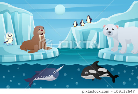 Antarctic scene with many animals . Vector . 109132647