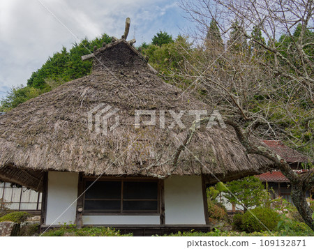 Private house with thatched roof Private house with thatched roof 109132871