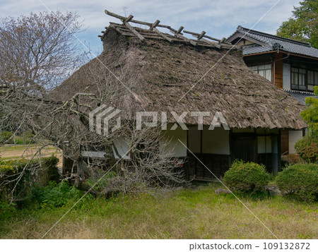 Private house with thatched roof Private house with thatched roof 109132872