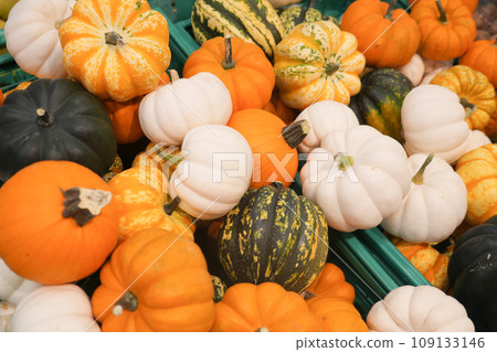 a lot of little pumpkin in a box a lot of little pumpkin in a box 109133146