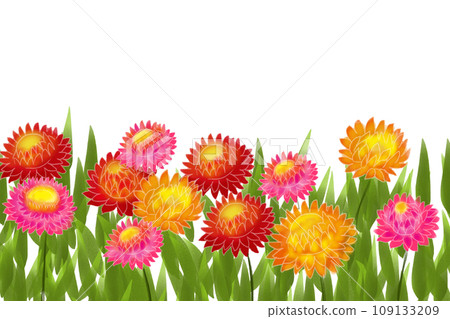 Straw chrysanthemum flower card 2 109133209