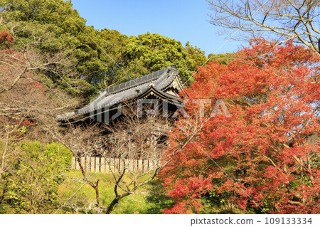 Shigisan Chogomikoji Temple, the best time to see autumn leaves 109133334