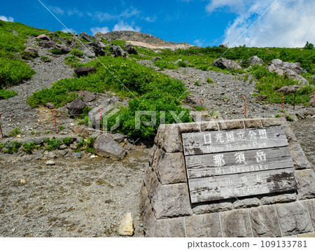 Near Mine no Chaya Near Mine no Chaya 109133781