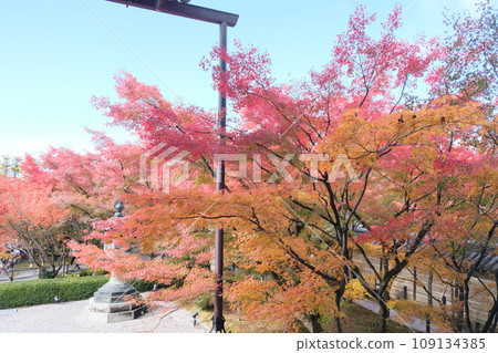 Garden colored with autumn leaves Garden colored with autumn leaves 109134385