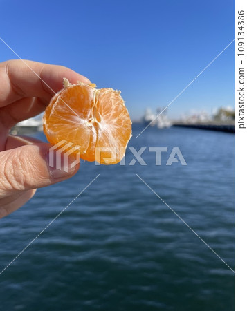 Early-ripening mandarins, autumn harvest fruit, sweet and sour citrus fruit Early-ripening mandarins, autumn harvest fruit, sweet and sour citrus fruit 109134386