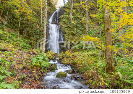 Autumn Oirase mountain stream 109135969