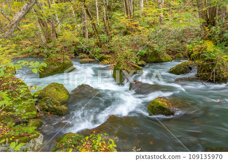 Autumn Oirase mountain stream 109135970