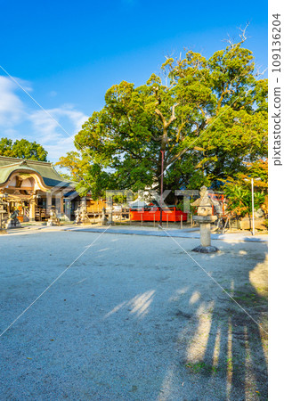 奈良縣生駒郡斑鳩町龍田神社 大樟樹 奈良縣生駒郡斑鳩町龍田神社 大樟樹 109136204